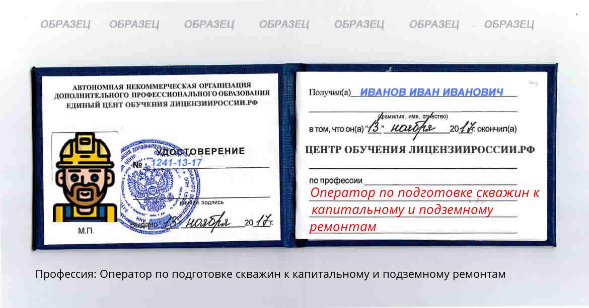 Оператор по подготовке скважин к капитальному и подземному ремонтам Новомичуринск
